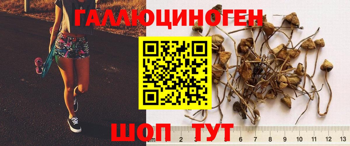 Галлюциногенные грибы ЛСД  Вход с VPN  Белогорск  Галлюциногенные грибы Cubensis 